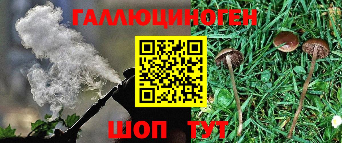 Ноябрьск  Галлюциногенные грибы ЛСД  Вход с VPN 