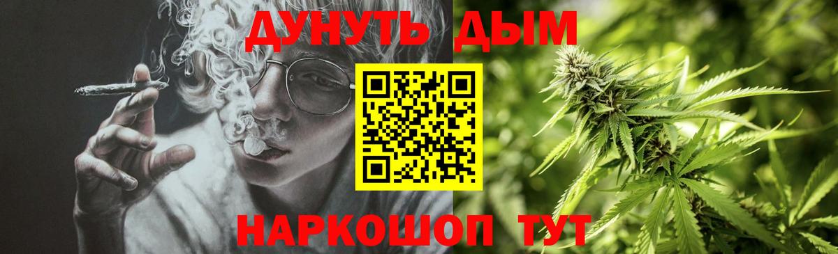 Каннабис OG Kush Ноябрьск